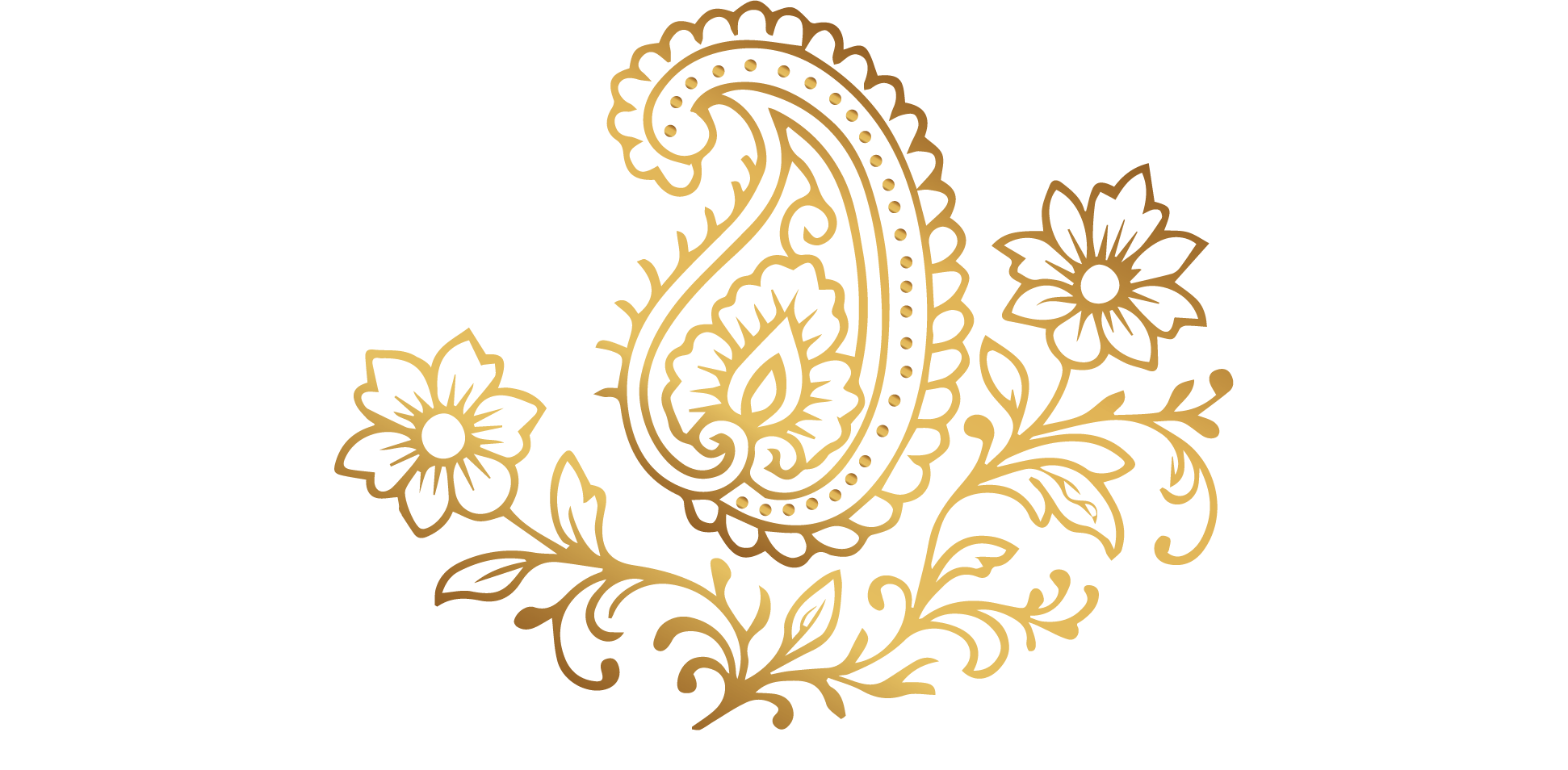 Royal Threads of Chikankari